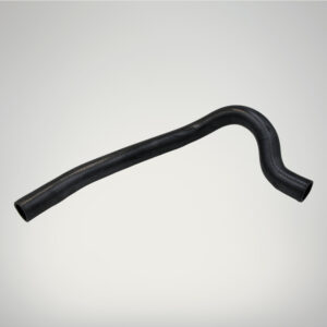 Bottom Hose