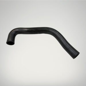 Bottom Hose