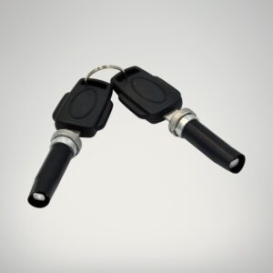 Two Door Barrel Locks and Keys